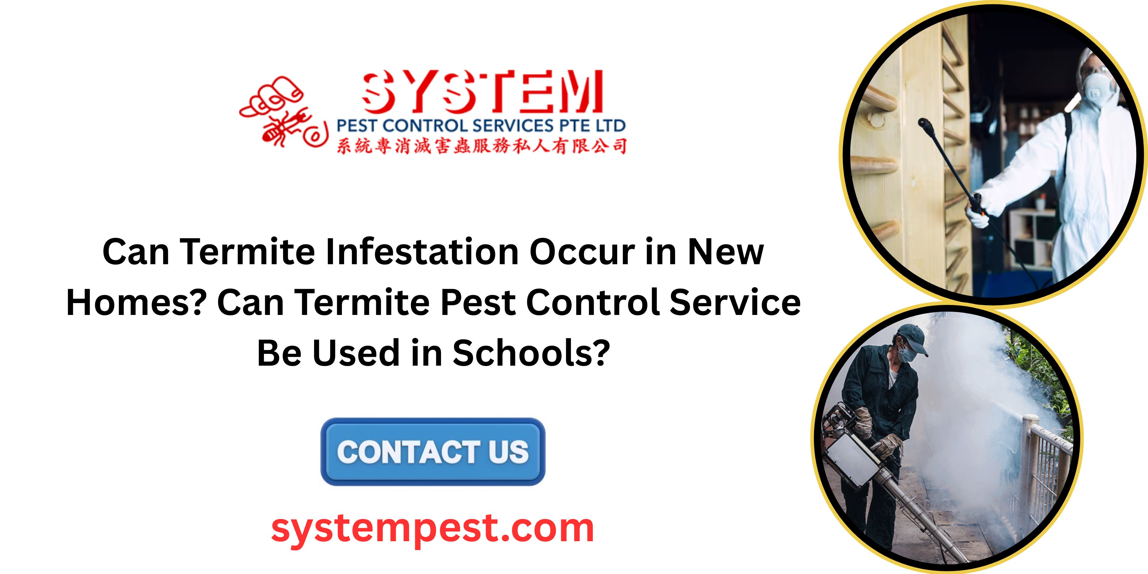 Can Termite Infestation Occur in New Homes? Can Termite Pest Control Service Be Used in Schools?